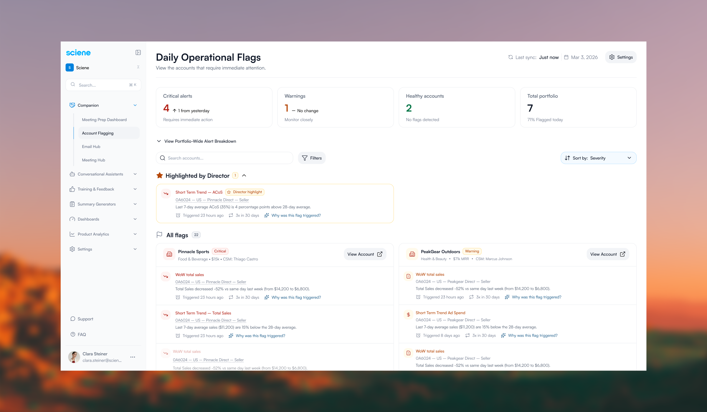Account Flagging system overview