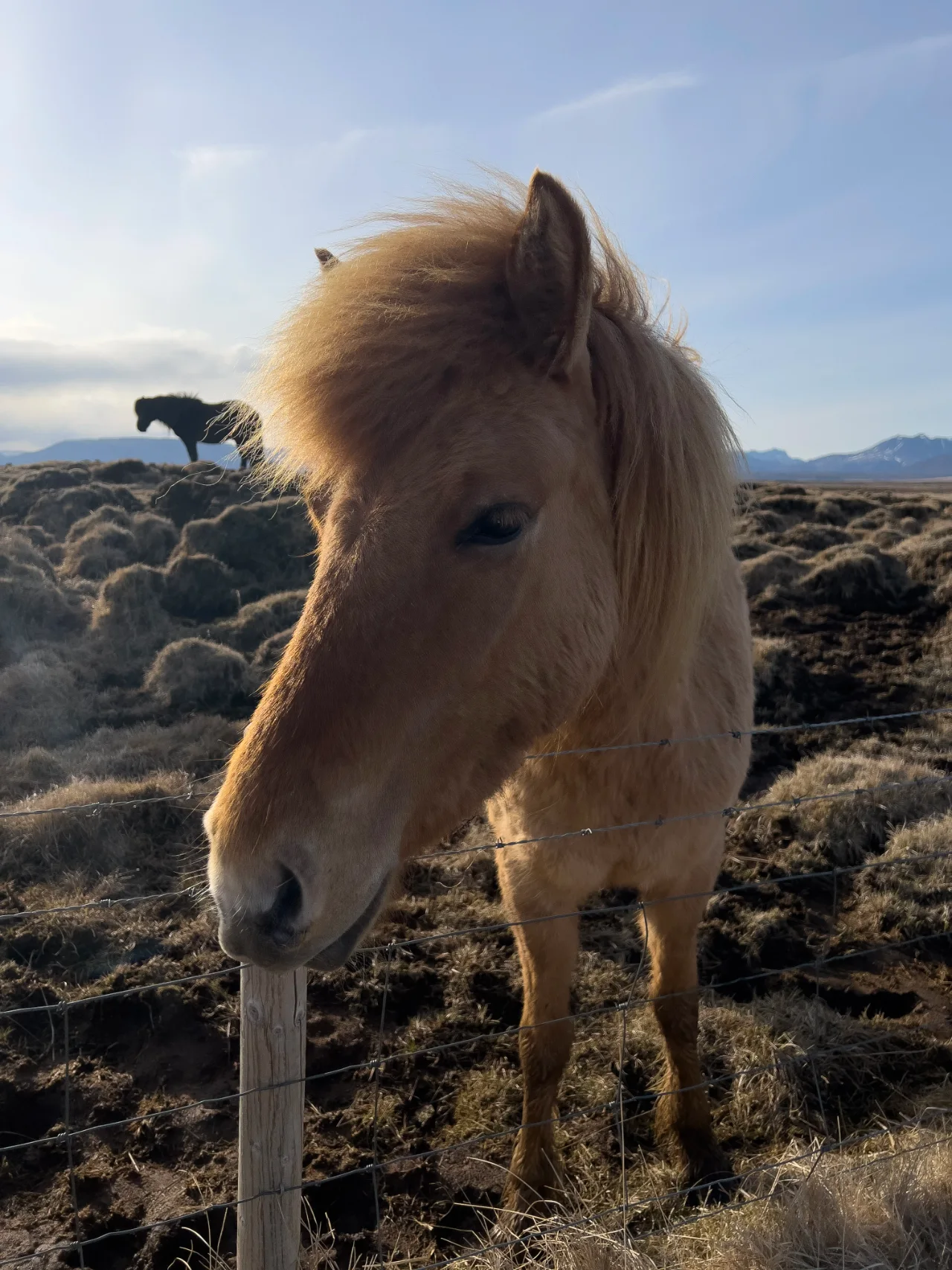Iceland